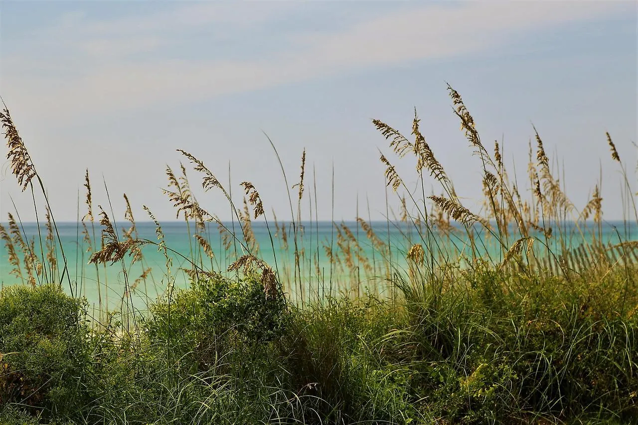דסטין Henderson Beach Resort